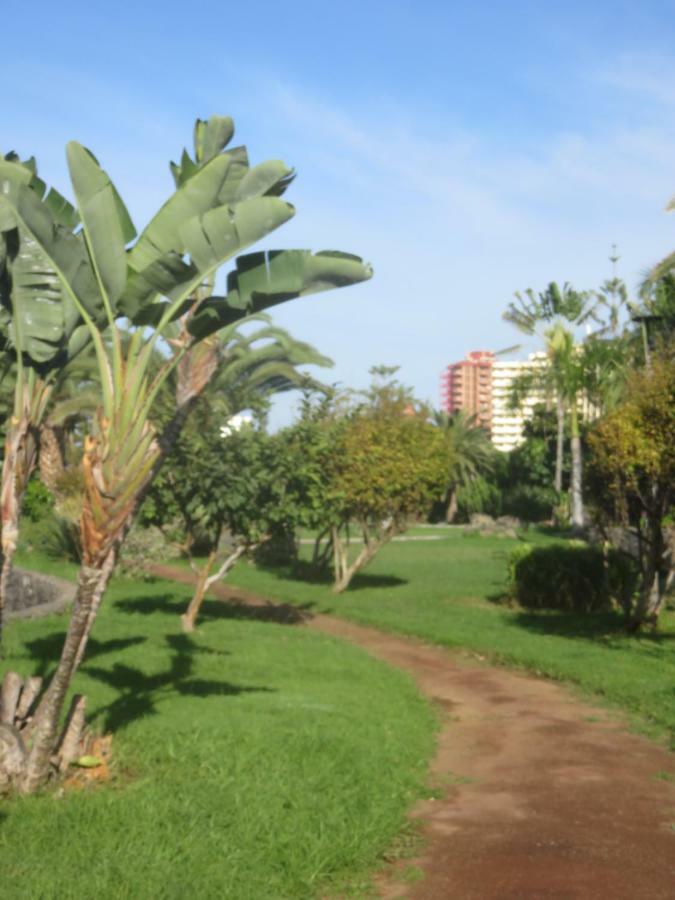 Centrico Loft En El Puerto De La Cruz Con Wifi Y Cerca De La Playa Apartment Luaran gambar