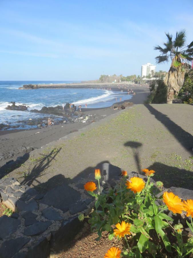 Centrico Loft En El Puerto De La Cruz Con Wifi Y Cerca De La Playa Apartment Luaran gambar